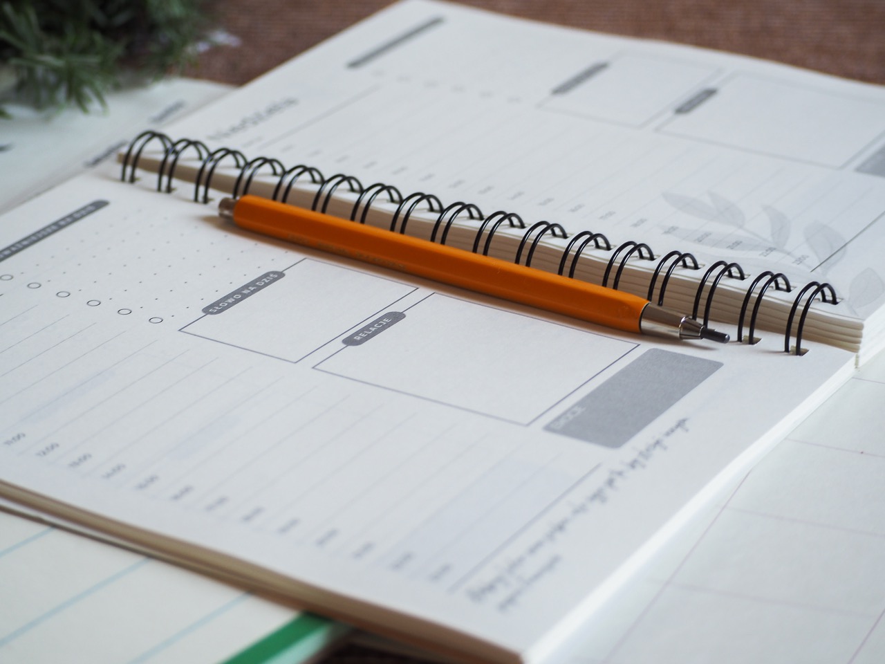 Dziennik Wzrostu - obrazek 4