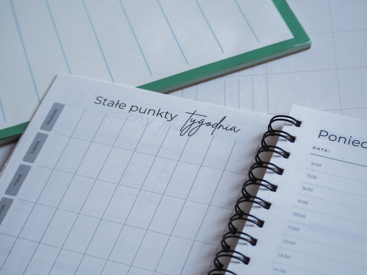 Dziennik Wzrostu - obrazek 3