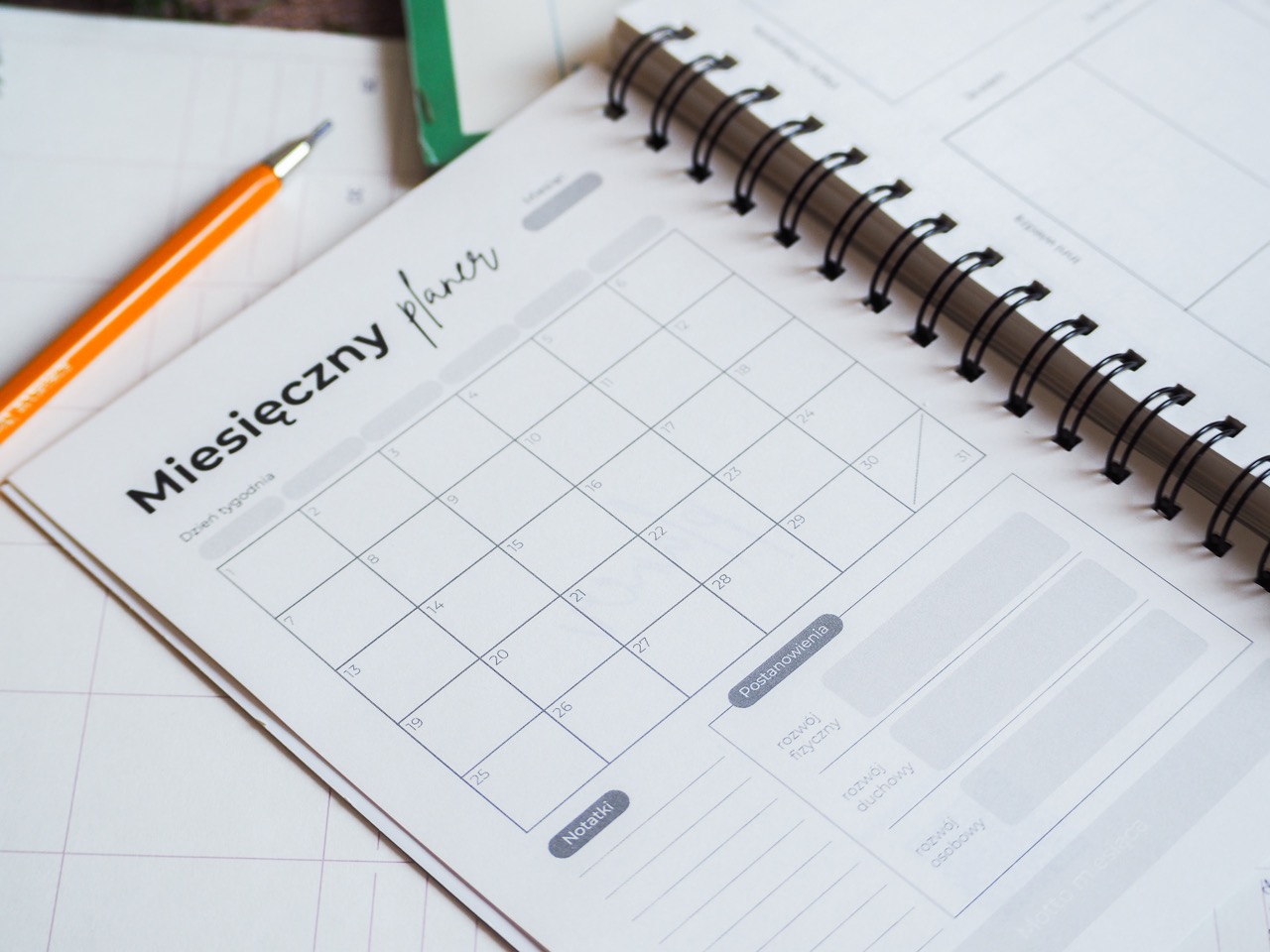 Dziennik Wzrostu - obrazek 6