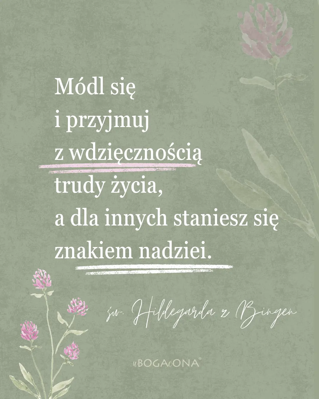 Hildegarda i... wdzięczność!