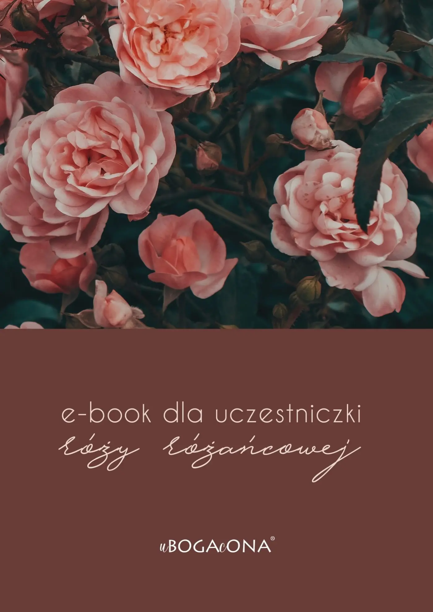 Róża różańcowa w intencji pokoju - nabór