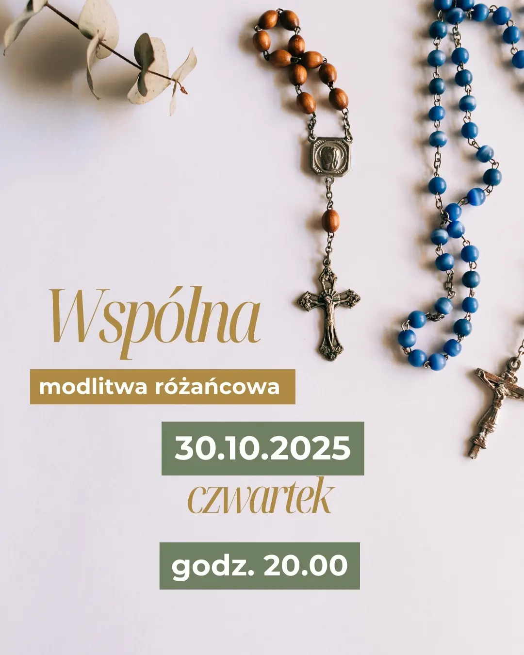 Live modlitewny - różaniec