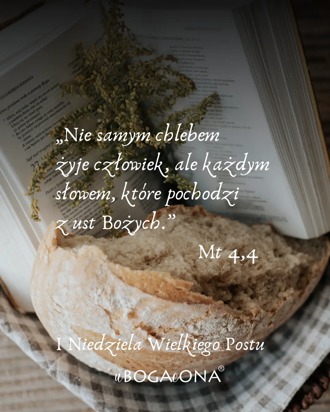 Nie samym chlebem... / I Niedziela WP