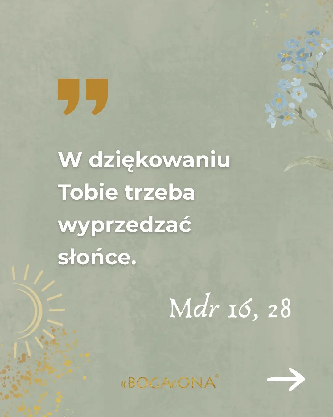 Wdzięczność i dziękczynienie | wdzięczny czerwiec