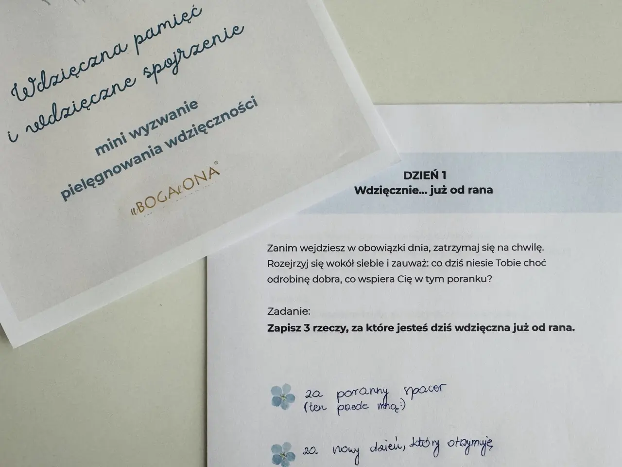 Wyzwanie WDZIĘCZNOŚCI / dzień 1