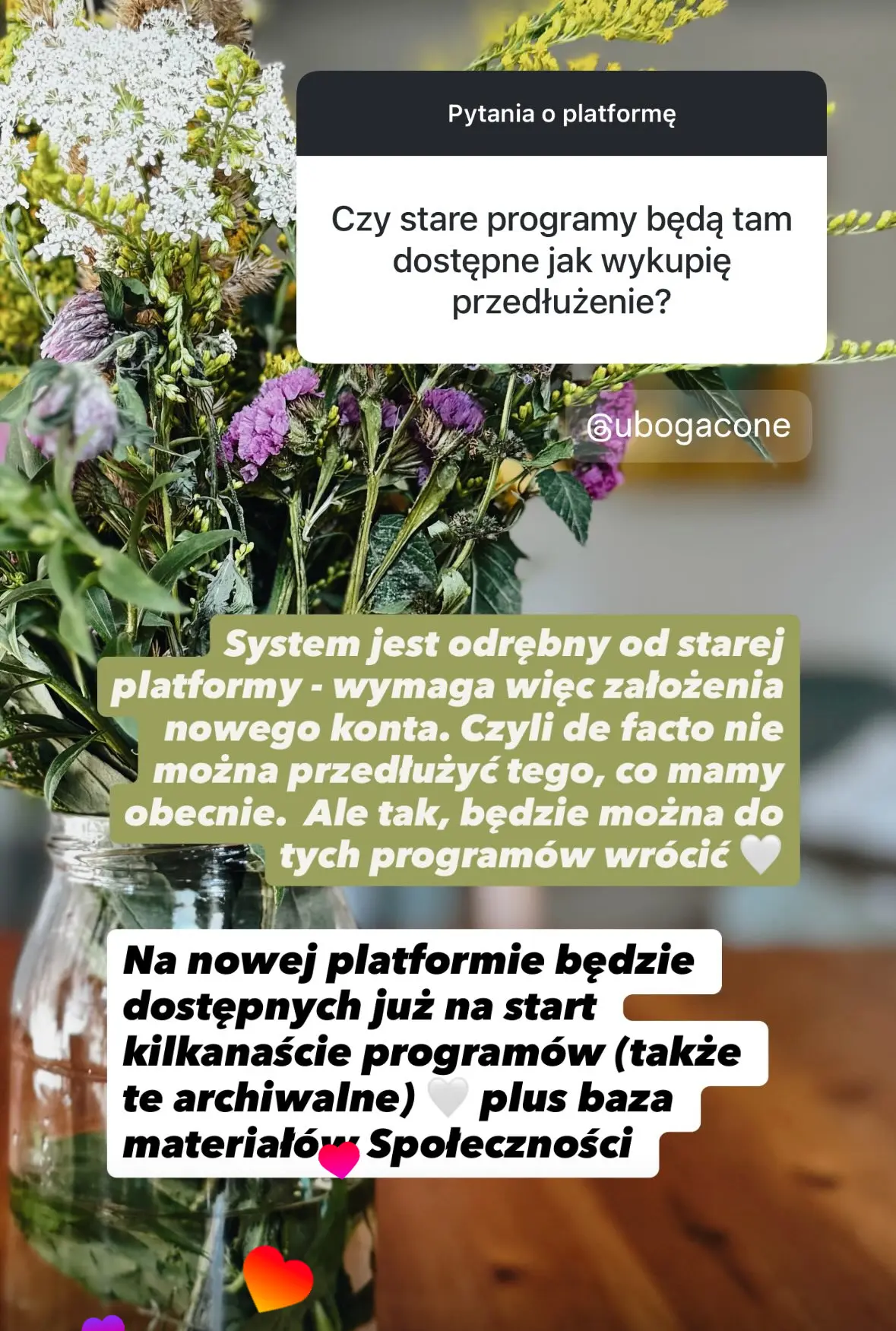 Q&A o platformę (stara/nowa/aplikacja)