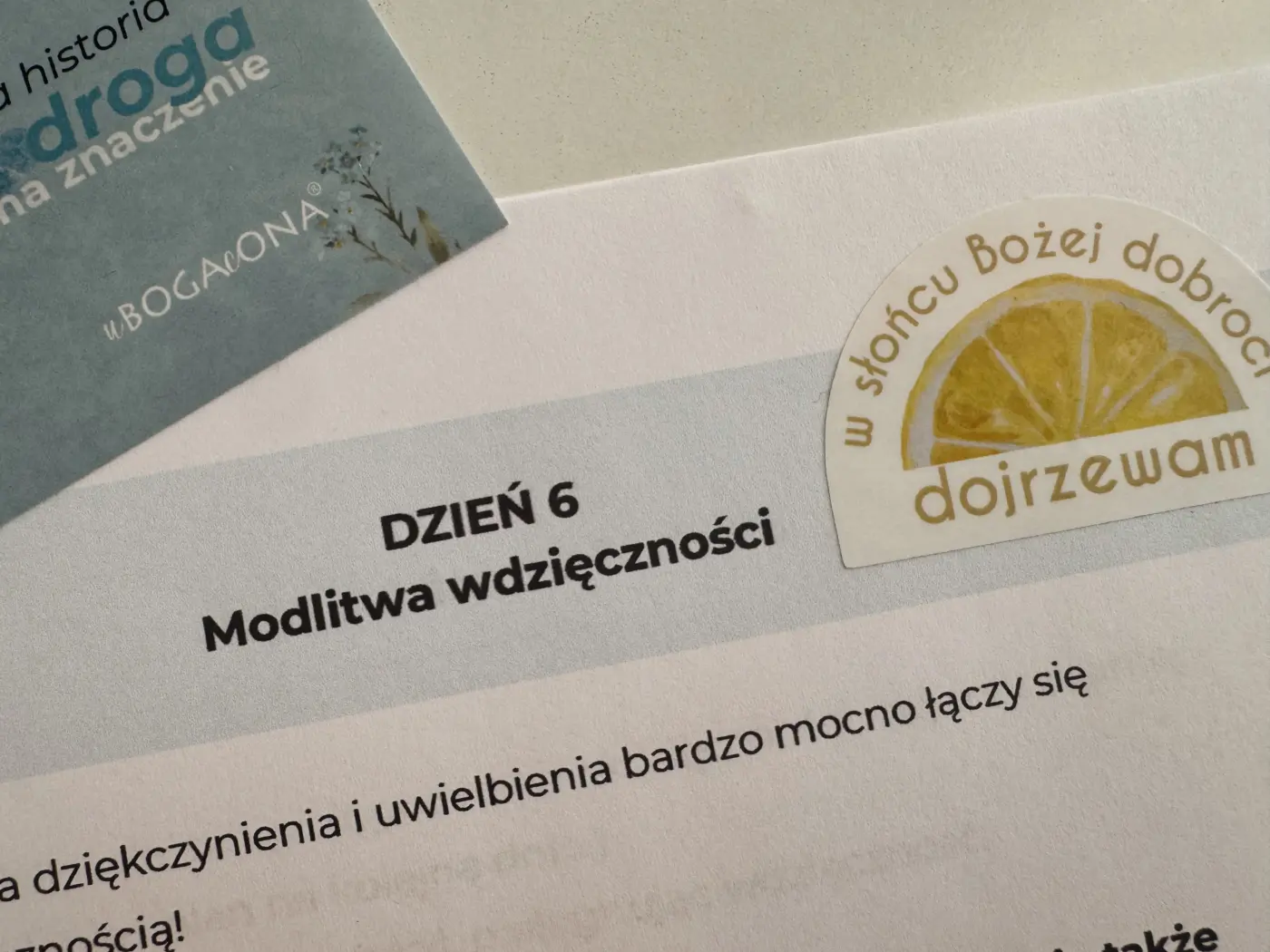 Wyzwanie WDZIĘCZNOŚCI / dzień 6